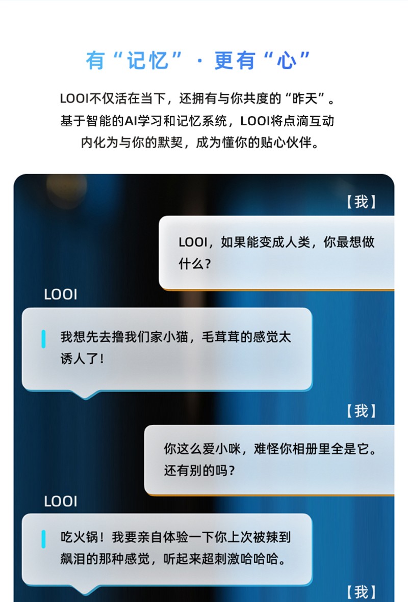 Looi_03.jpg